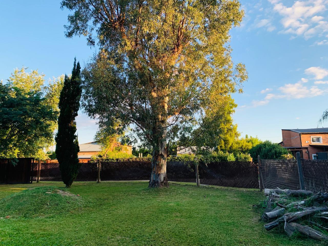 Terreno en Campos de Ibarlucea