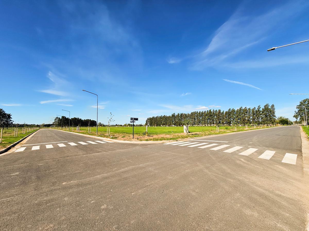 Foto de Terreno 320 m2 en EcoLagos Este - Oportunidad - Todos los servicios, imagen 4
