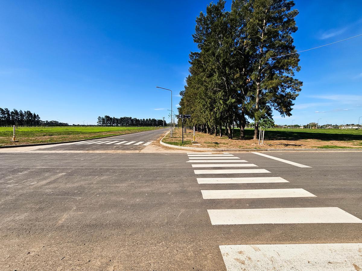 Foto de Terreno 320 m2 en EcoLagos Este - Oportunidad - Todos los servicios, imagen 3
