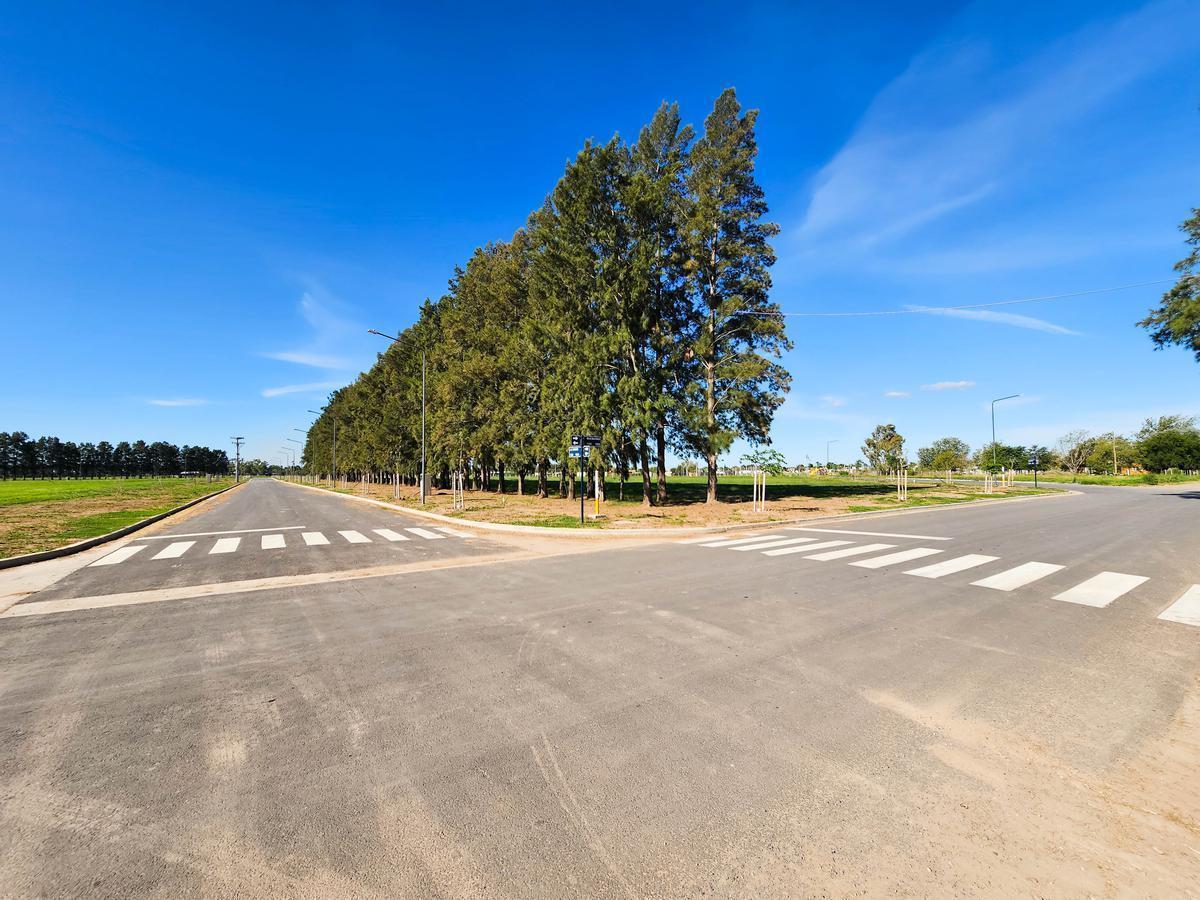 Foto de Terreno 320 m2 en EcoLagos Este - Oportunidad - Todos los servicios, imagen 1