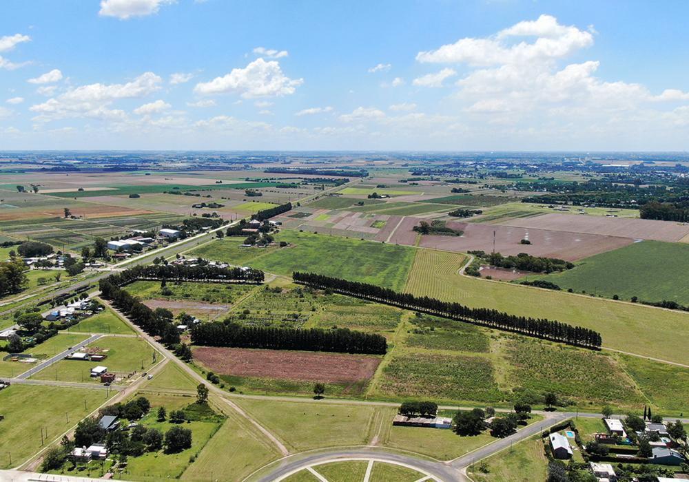 Foto de Terreno 300 m2 en EcoLagos Este - Oportunidad - Todos los servicios, imagen 4