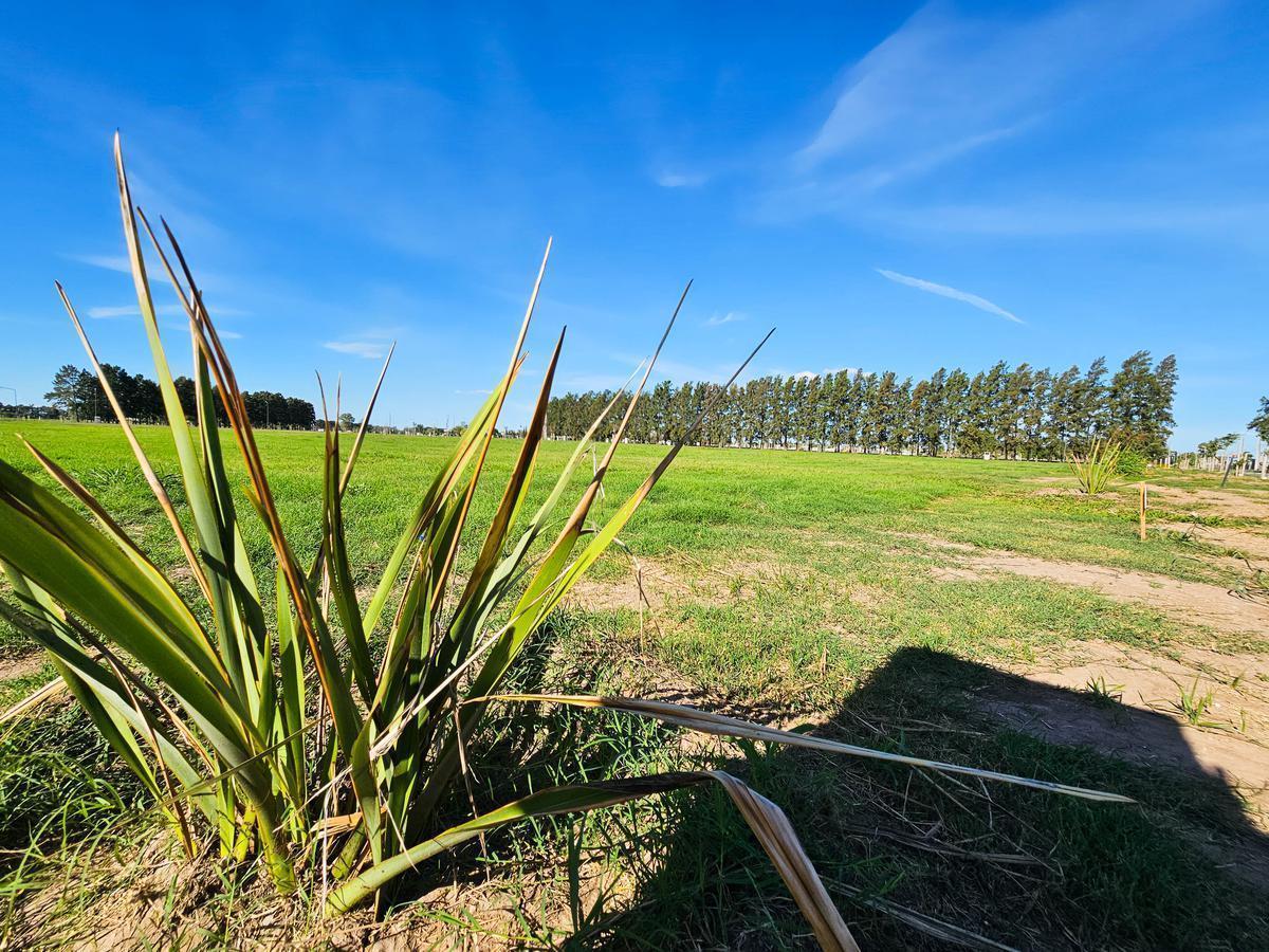 Foto de Terreno 360 m2 en EcoLagos Este - Oportunidad - Todos los servicios, imagen 3