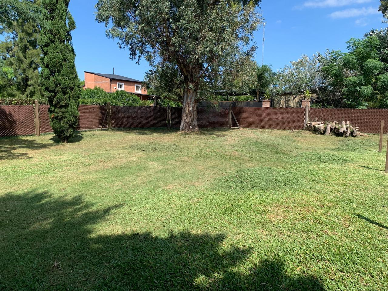 Foto de Terreno en Campos de Ibarlucea, imagen 3