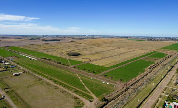 Foto de Vida Lagoon Funes - Lote 443 - 867 m2. A metros de la laguna., imagen 2