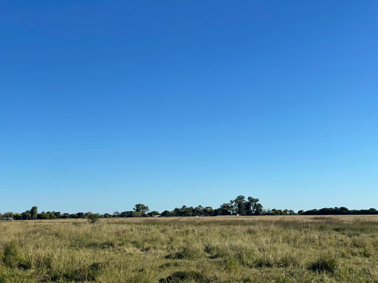 Foto de Campo en venta AGRICOLA 200 HECTAREAS - SANTA FE - RUTA 1 colonia san, imagen 5