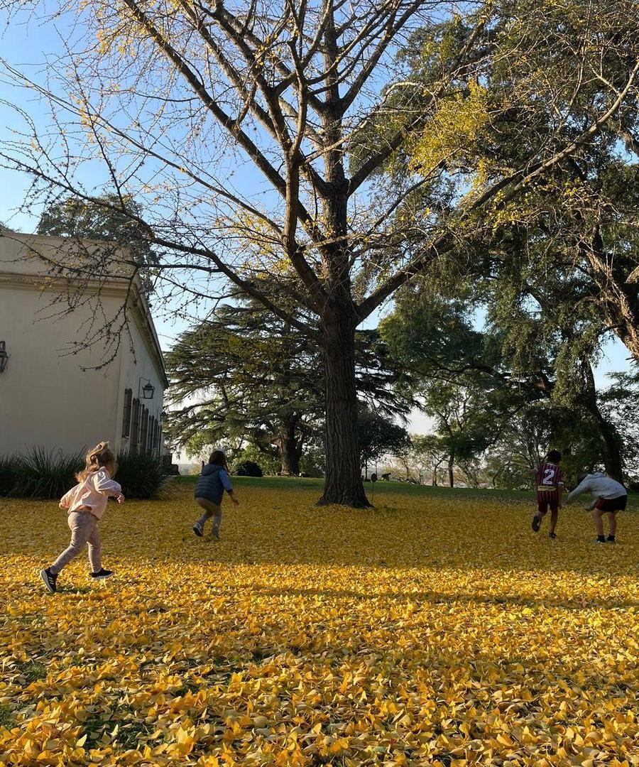 Foto de Terreno en Villa Ramallo, imagen 3