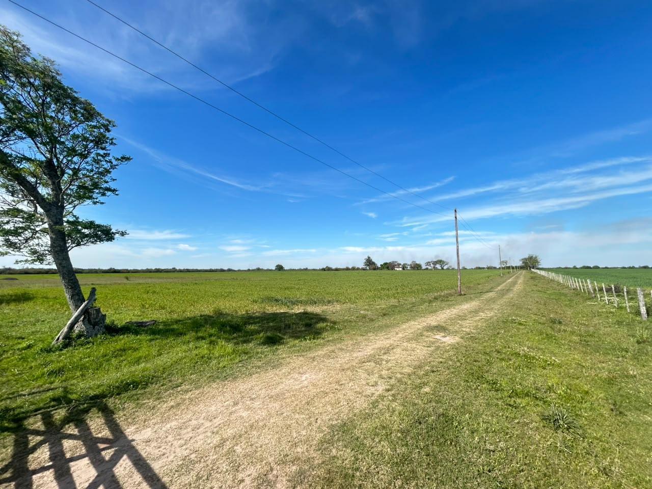 Foto de Campo en venta Partido San justo, imagen 3