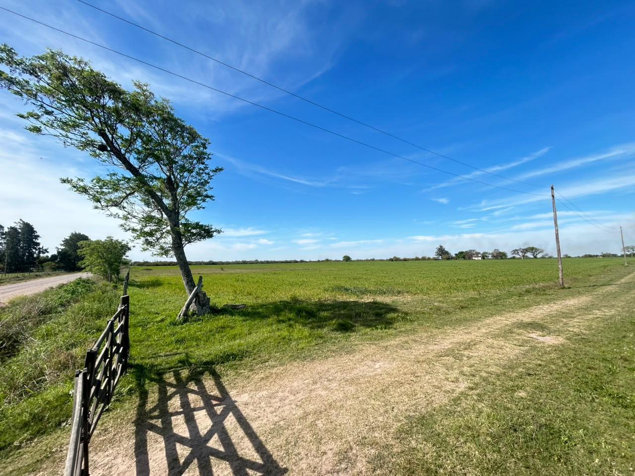 Foto de Campo en venta Partido San justo, imagen 1