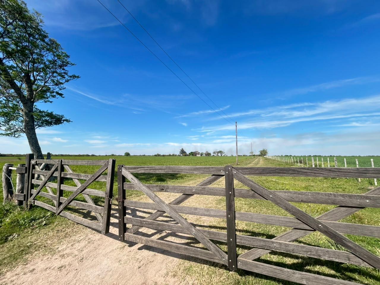 Foto de Campo en venta Partido San justo, imagen 1
