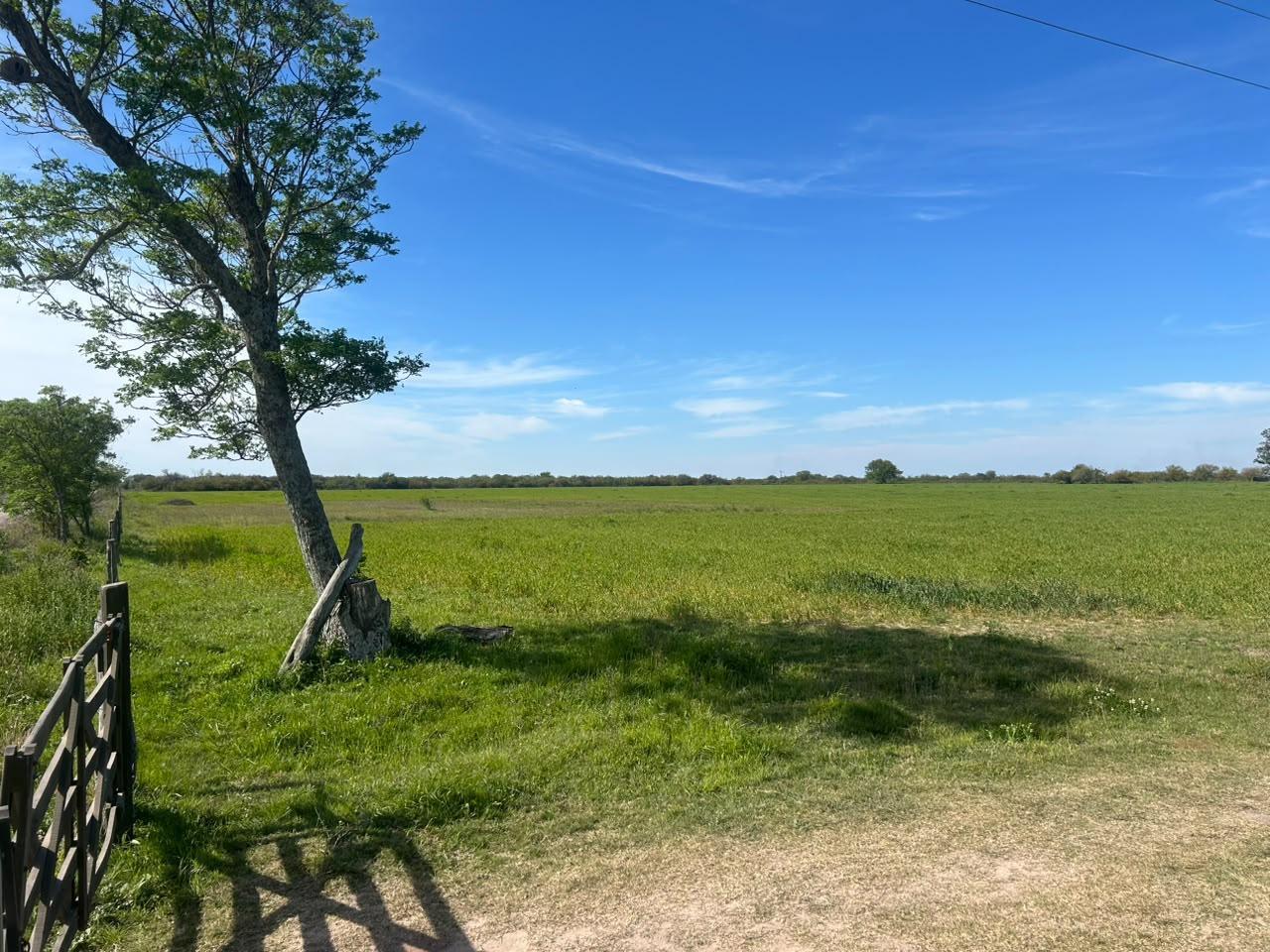 Foto de Campo 60 hectareas en venta ganadero mixto, imagen 5