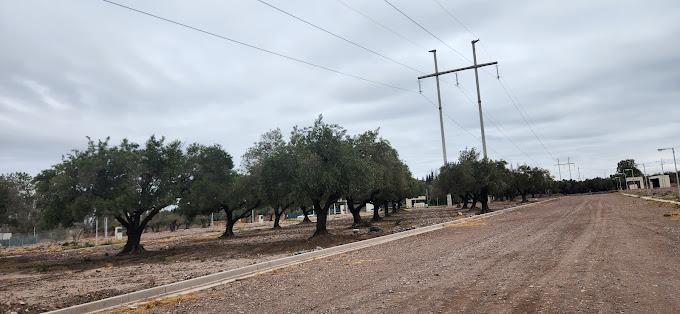 Vendemos Lote en Cruz de Piedra 3