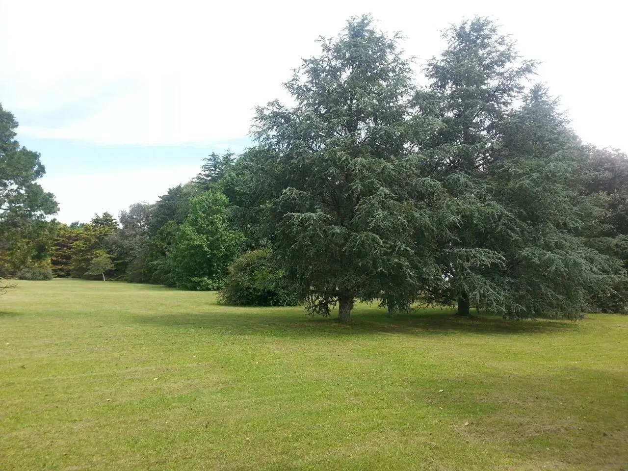 La Plata 134 ha 2