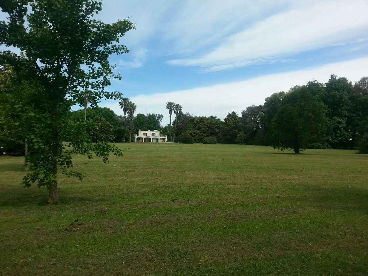 La Plata 134 ha 5