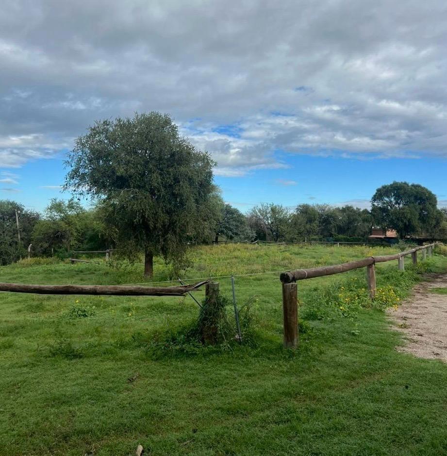 Foto de Propiedad de 2 ha - Villa de Merlo, imagen 4
