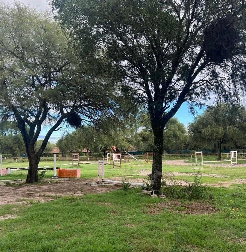 Foto de Propiedad de 2 ha - Villa de Merlo, imagen 1