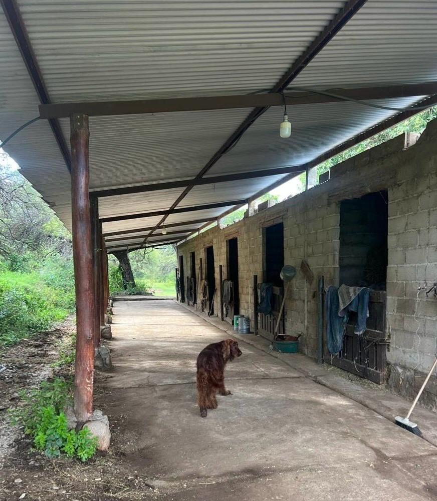 Foto de Propiedad de 2 ha - Villa de Merlo, imagen 2