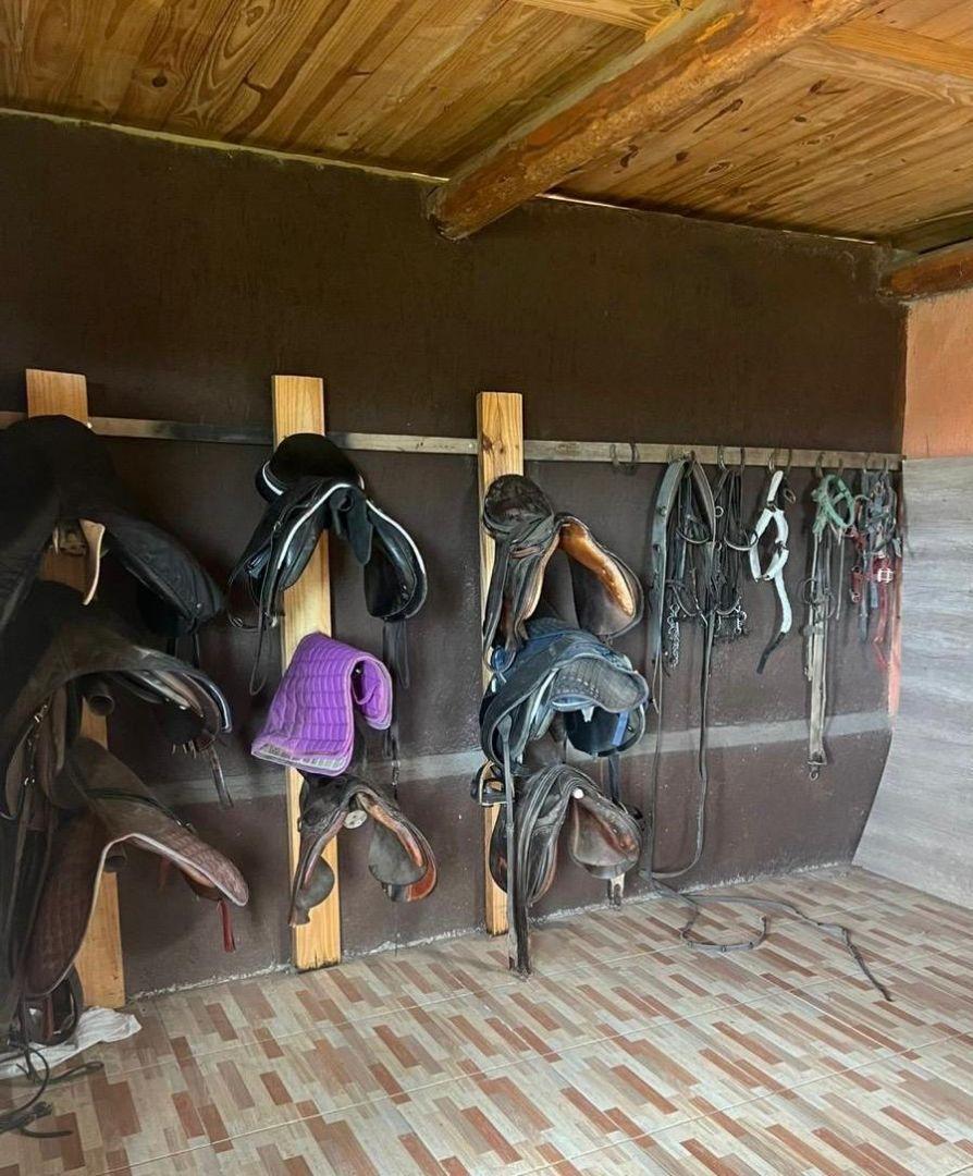 Foto de Propiedad de 2 ha - Villa de Merlo, imagen 3