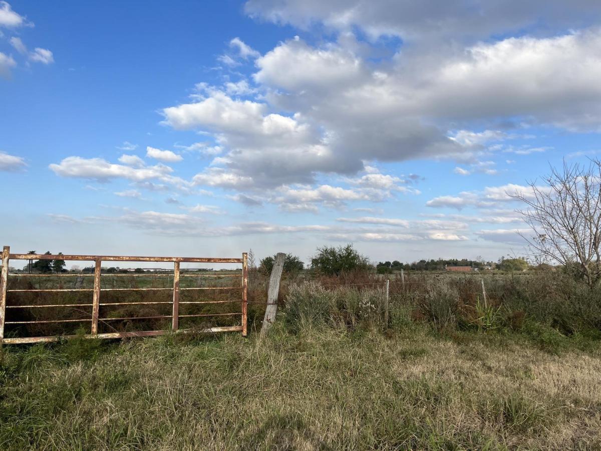 Foto de Venta Campo en Alvear Ruta 18 y A012, imagen 4
