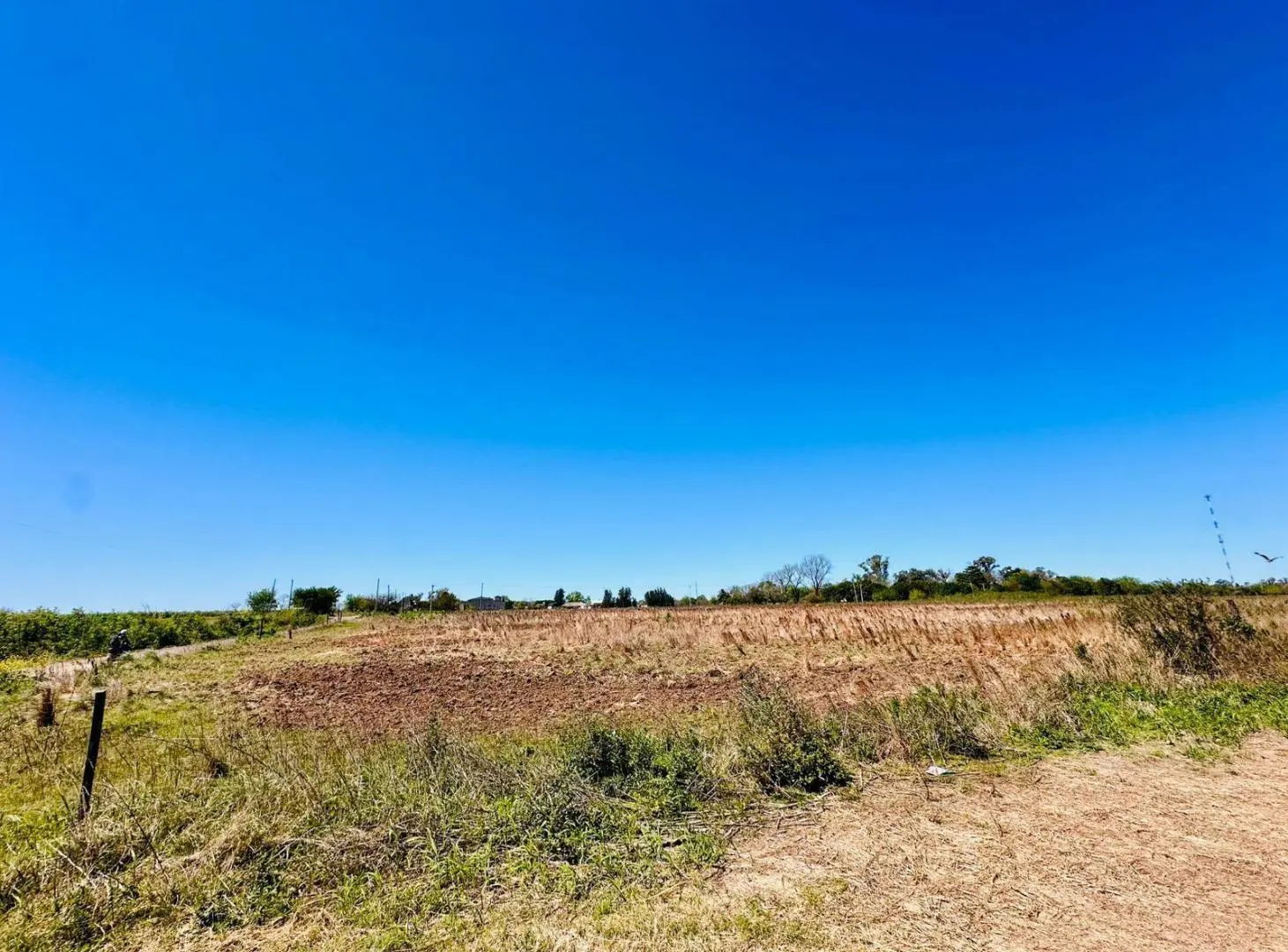 VENTA/PERMUTA - 2,5 Has de Campo - Cañada de Gomez 3