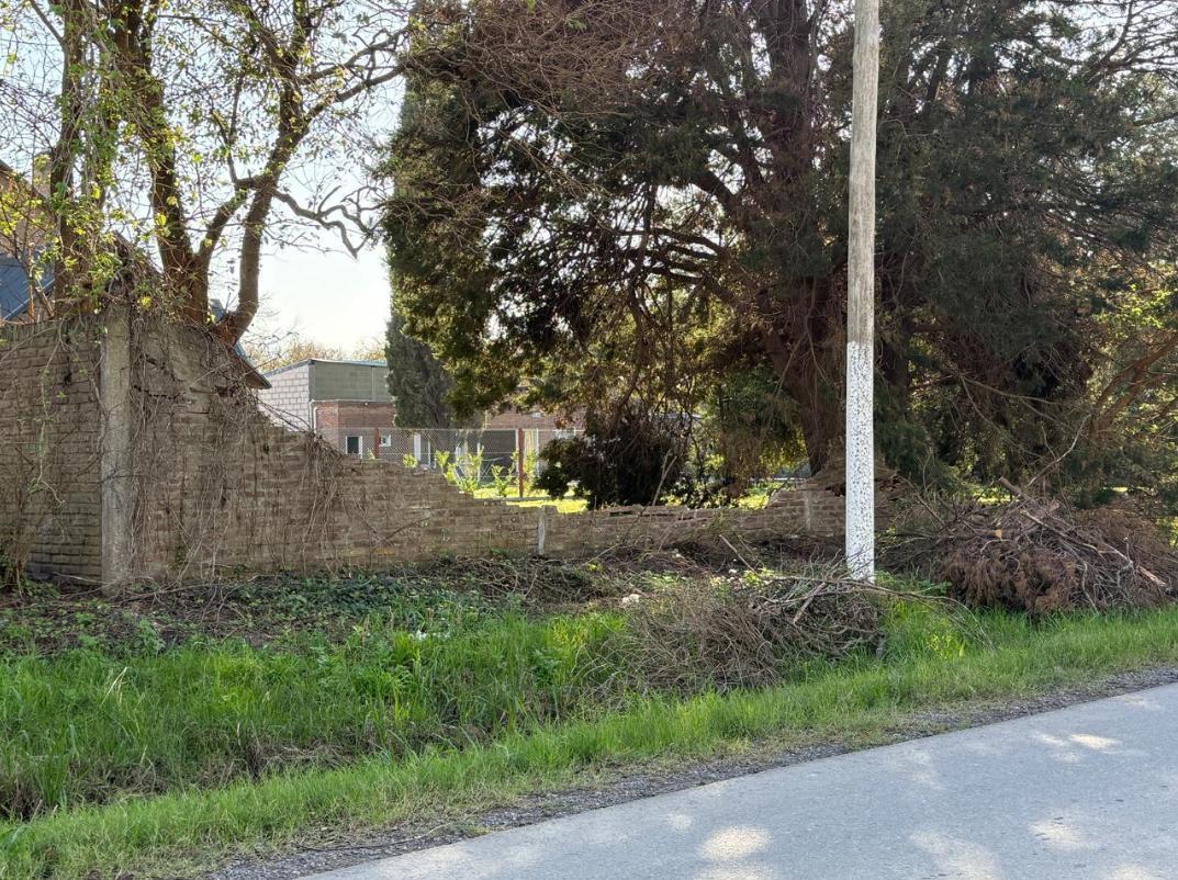 Foto de VENTA: Lote de 980 m2 para desarrollo comercial, frente a 8 Sauces, imagen 5