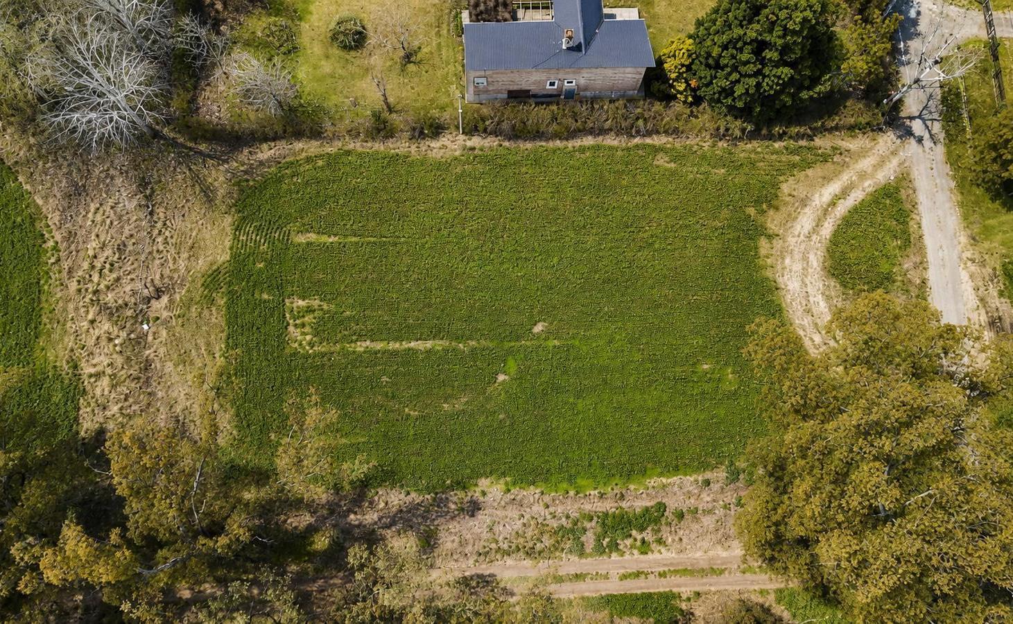 Foto de Terreno en Cañada De Gomez, imagen 5