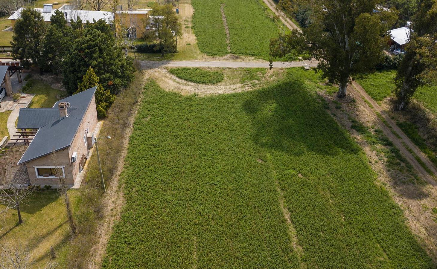 Foto de Terreno en Cañada De Gomez, imagen 1
