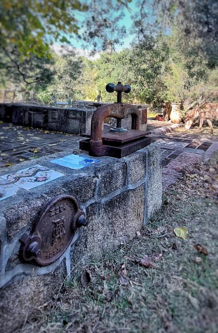 Foto de Campo en Nono Los Chañaritos 100 hectáreas, imagen 5