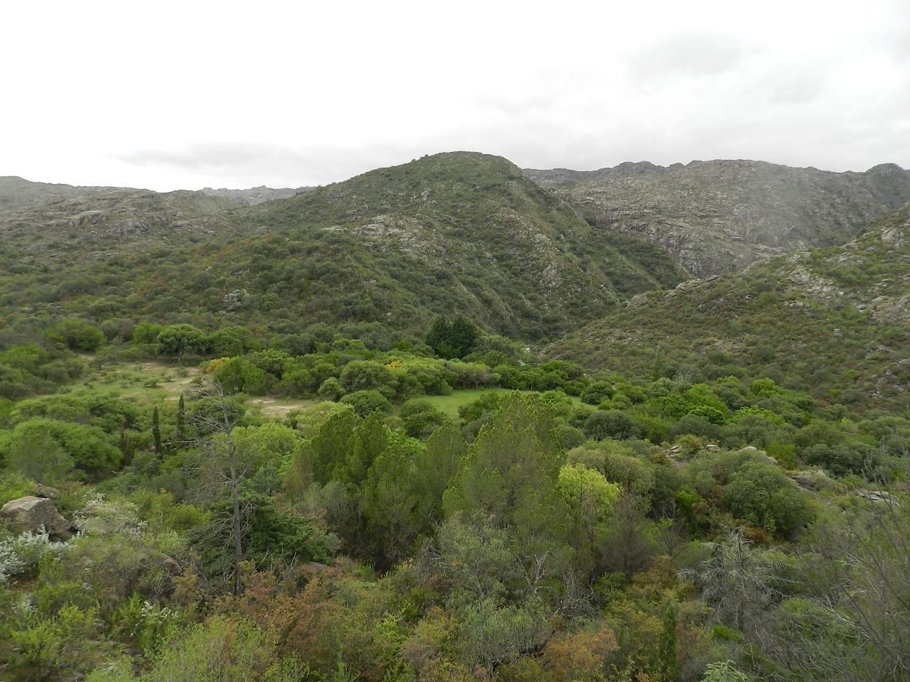 Foto de Campo en Nono Los Chañaritos 100 hectáreas, imagen 3