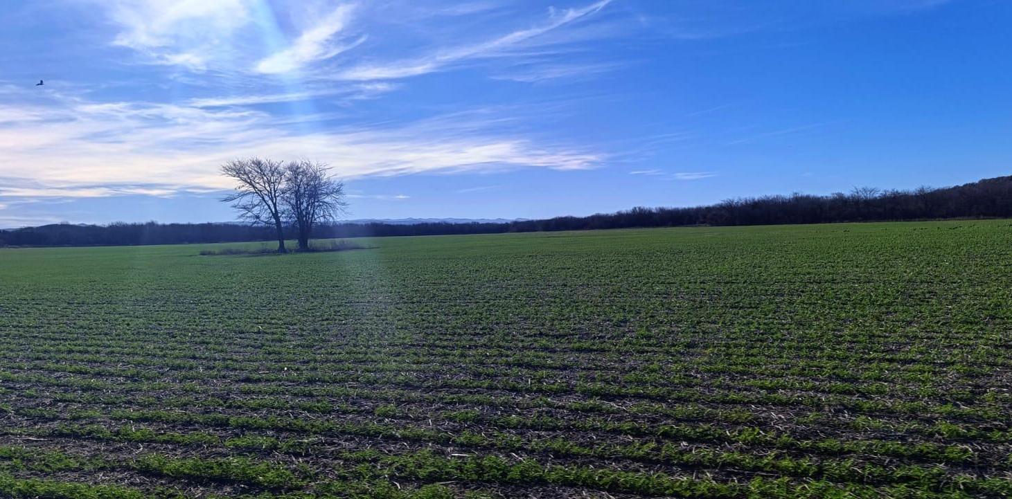 Terreno en Venta en La Granja