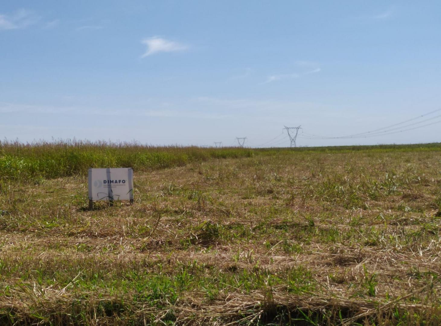 Foto de Terreno en venta en Parque Industrial Toledo con beneficios impositivos!, imagen 4