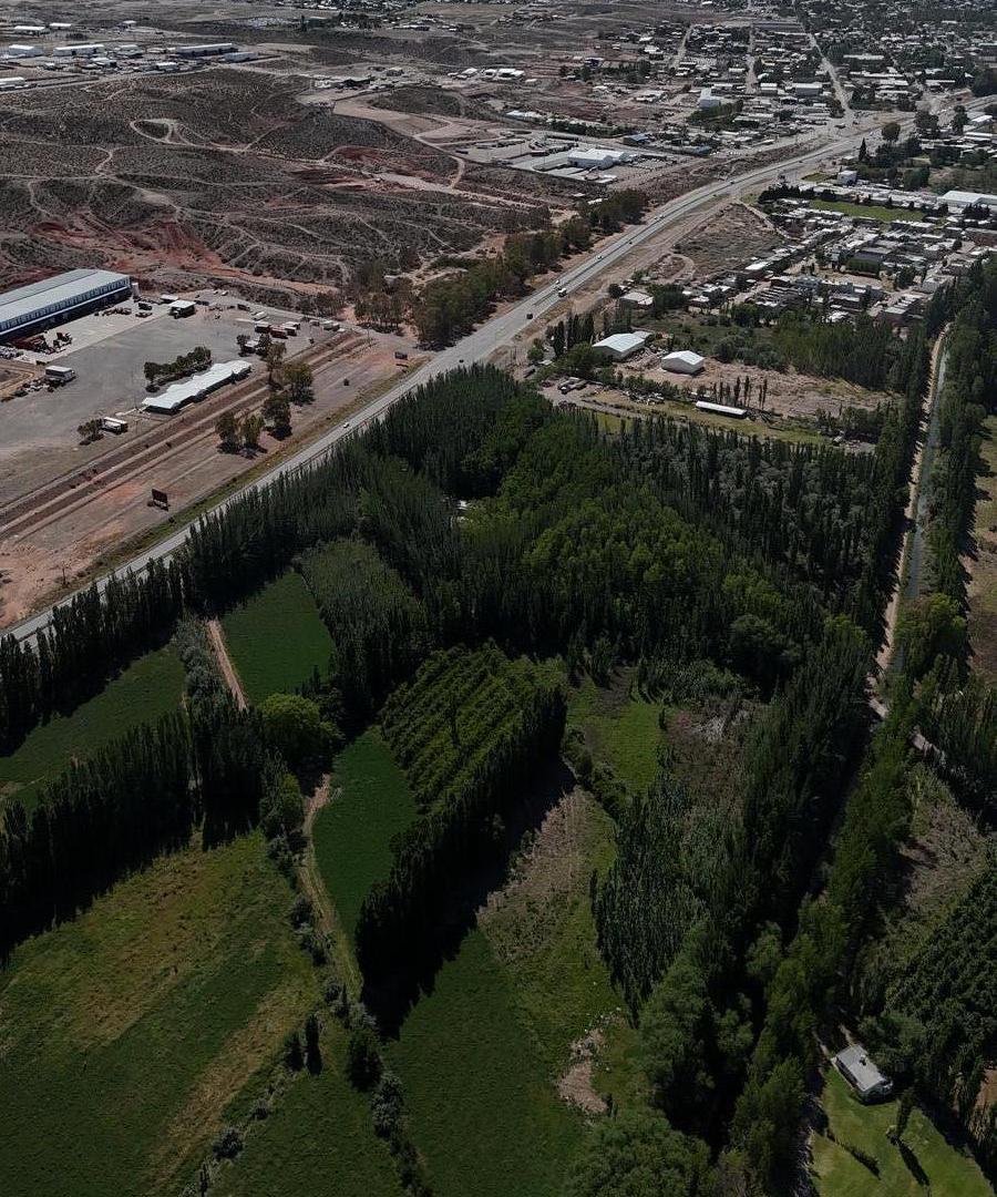 Foto de Chacra en Centenario, imagen 2