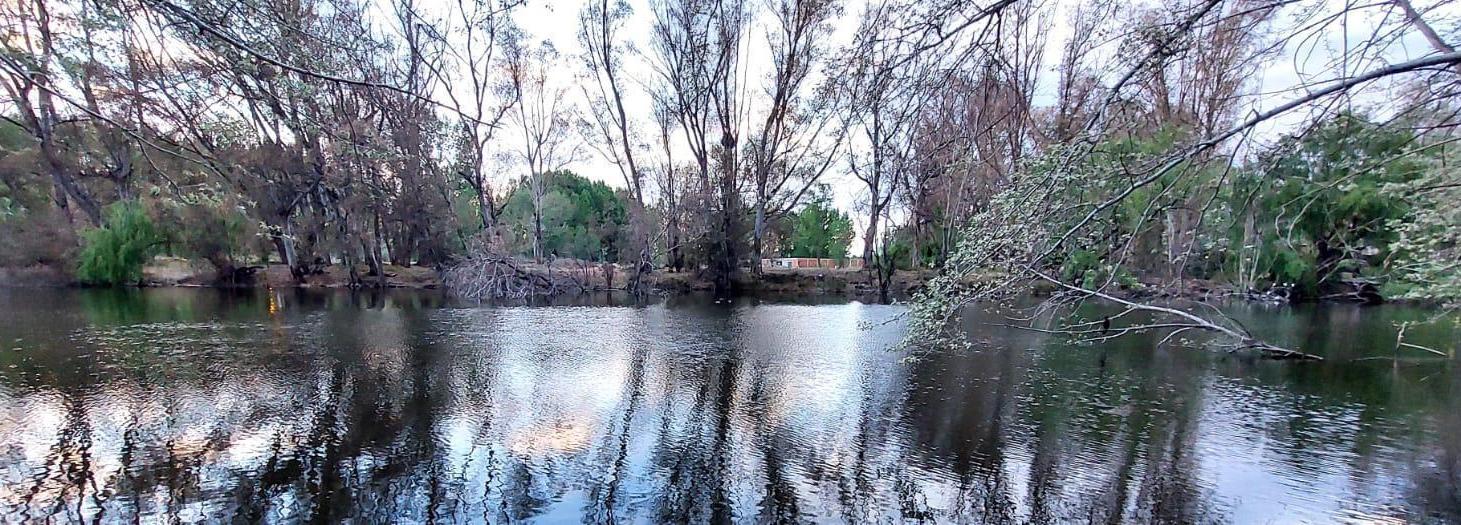 Terreno en Los Canales