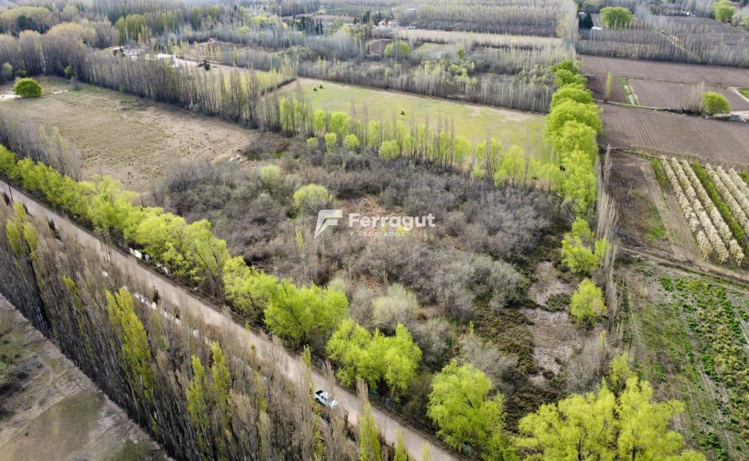 Foto de Chacra de 1 hectárea en zona ex-peaje de Centenario, imagen 5