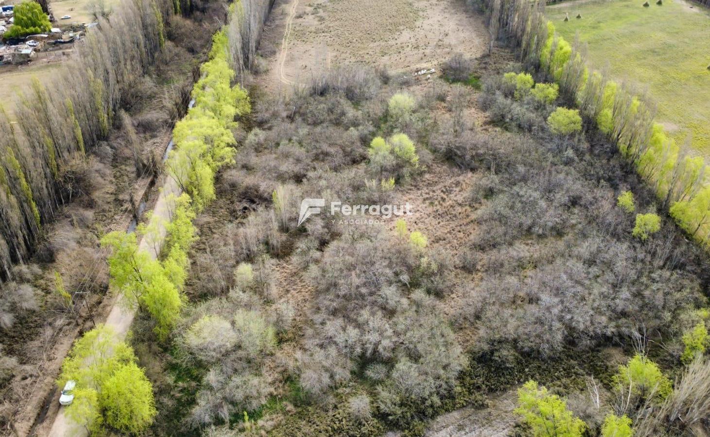 Foto de Chacra de 1 hectárea en zona ex-peaje de Centenario, imagen 3