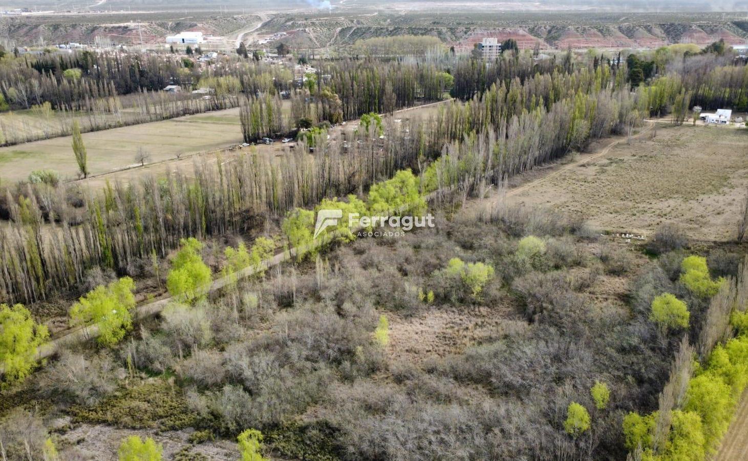 Foto de Chacra de 1 hectárea en zona ex-peaje de Centenario, imagen 2