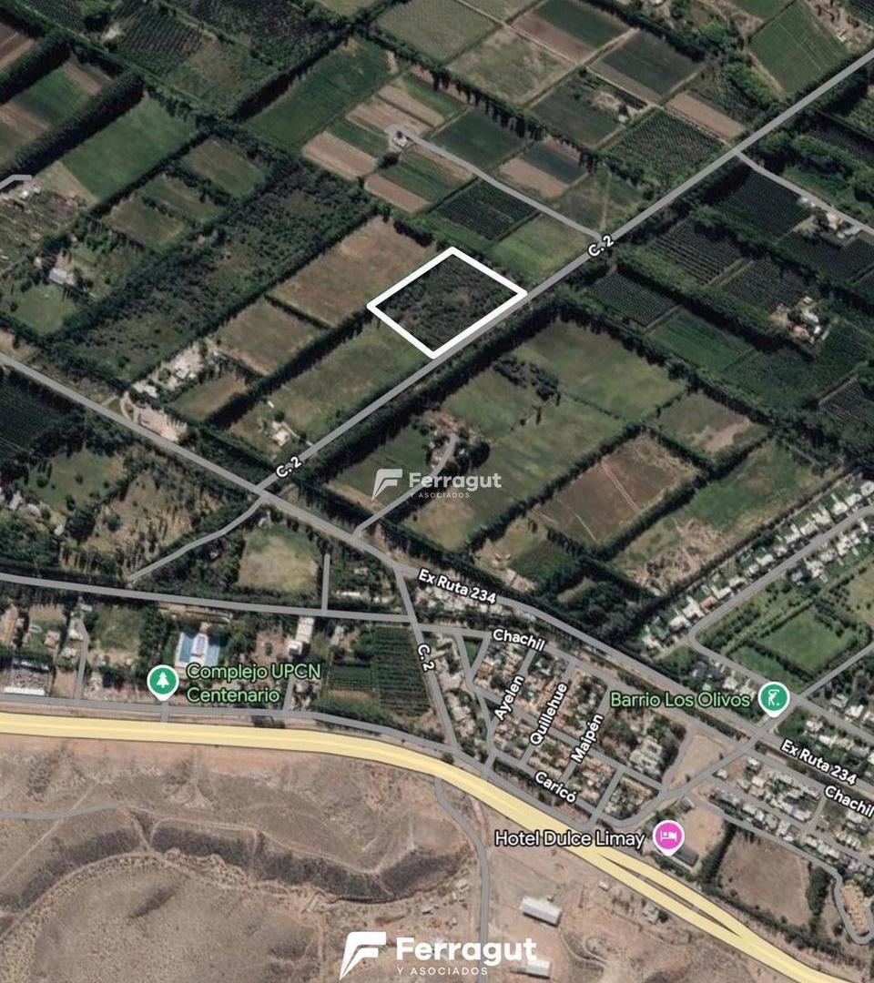 Foto de Chacra de 1 hectárea en zona ex-peaje de Centenario, imagen 4