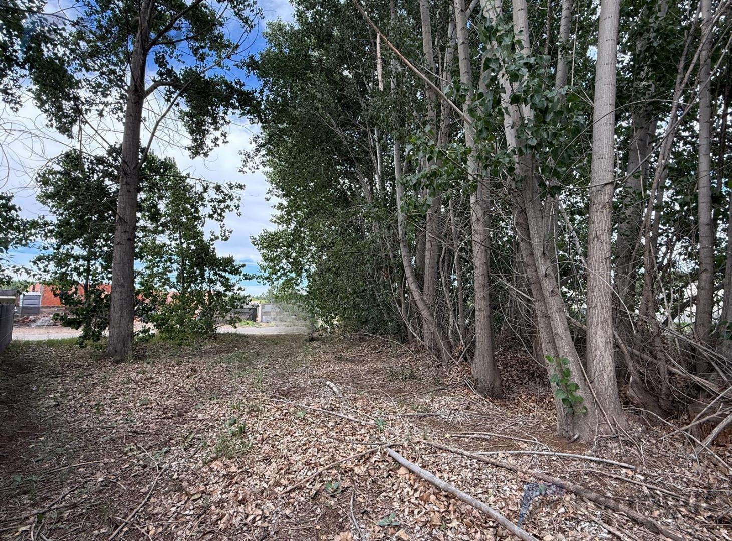 Foto de Terreno en Los Canales, imagen 4