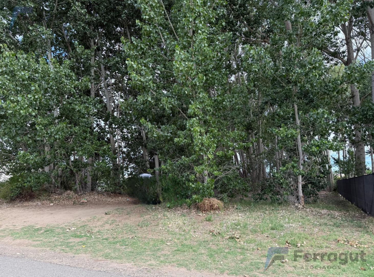 Foto de Terreno en Los Canales, imagen 5