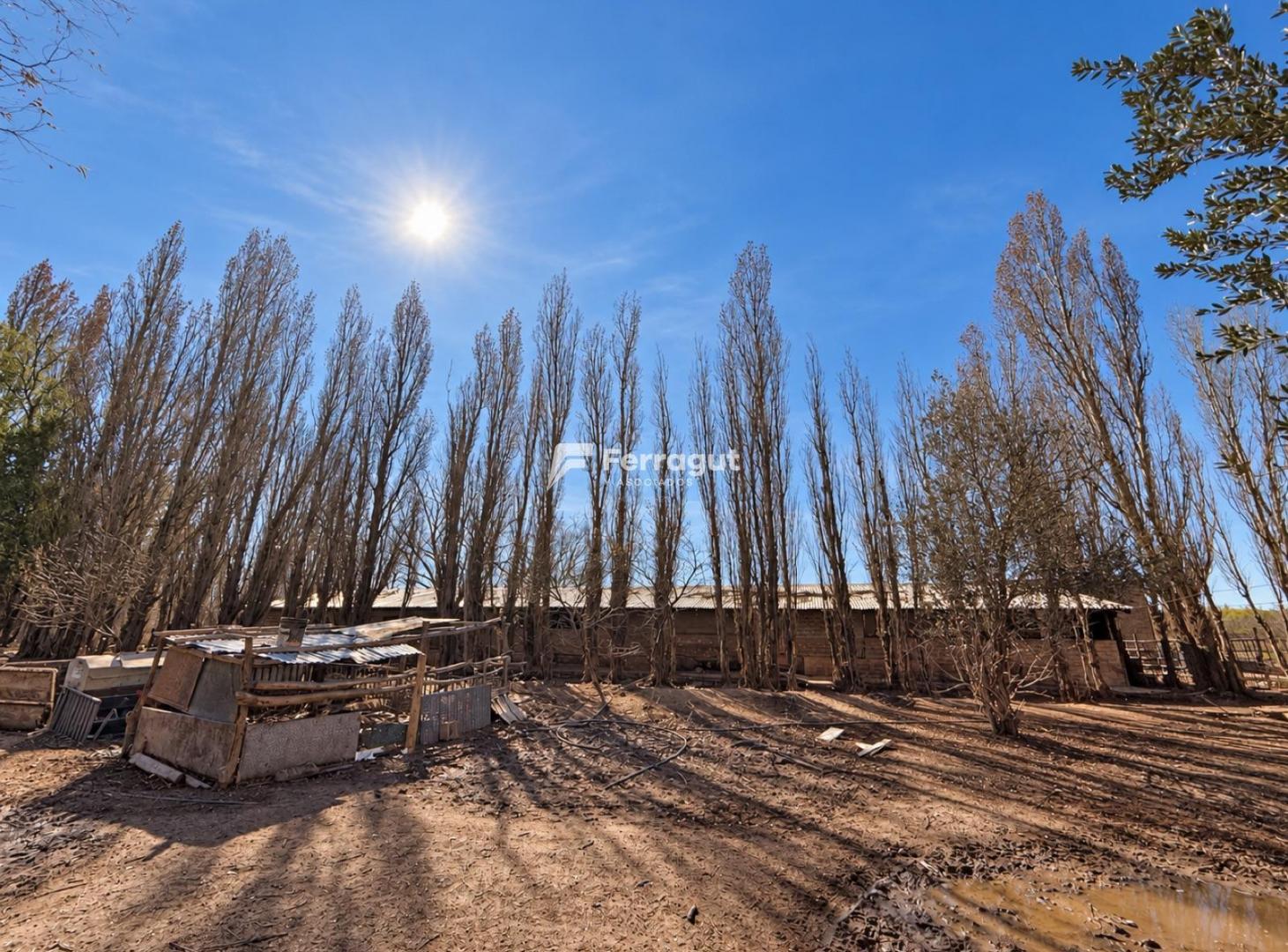 Foto de Campo - Senillosa, imagen 2