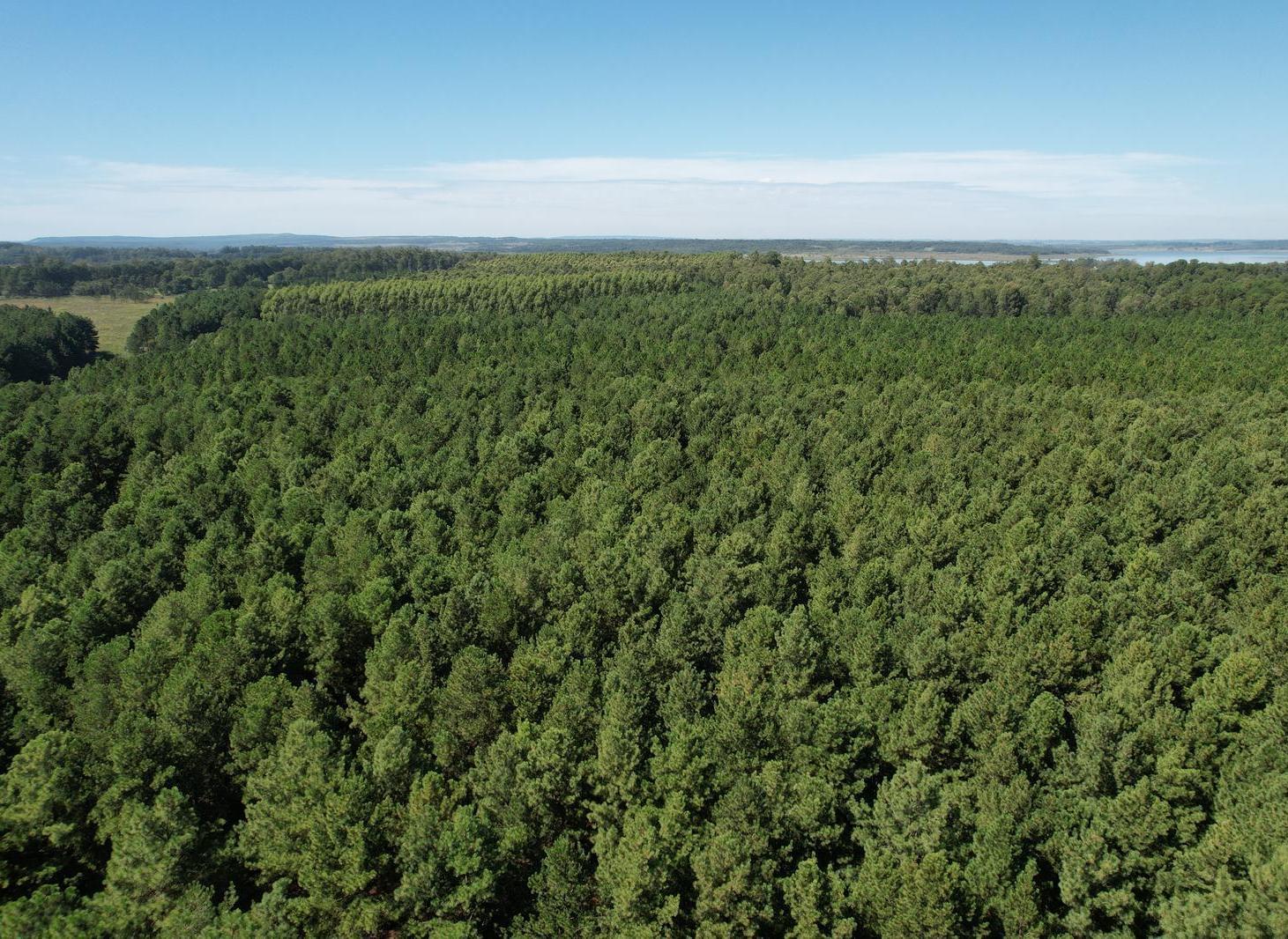 Foto de Campo en venta 41 hectáreas sobre Costa en Candelaria, imagen 2