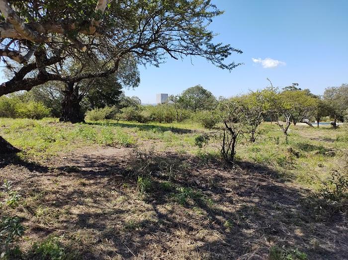 A 10 Min de Carlos Paz. Terreno en Cabalango - 1.006 m² con Vista Panorámica. 4
