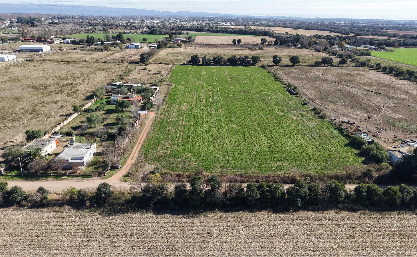 Chacra de 3.2 Ha en Colonia Caroya | 2 Casas, Riego y Superficie Arrendada