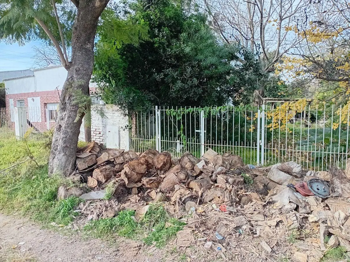 Casa de 600 m² con 2 dormitorios en venta en Villa Elvira 5