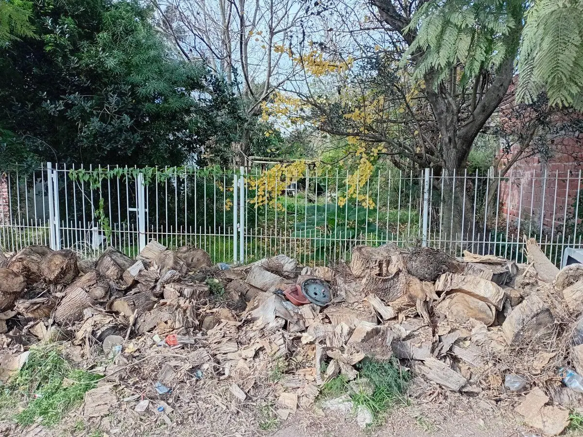 Casa de 600 m² con 2 dormitorios en venta en Villa Elvira 8