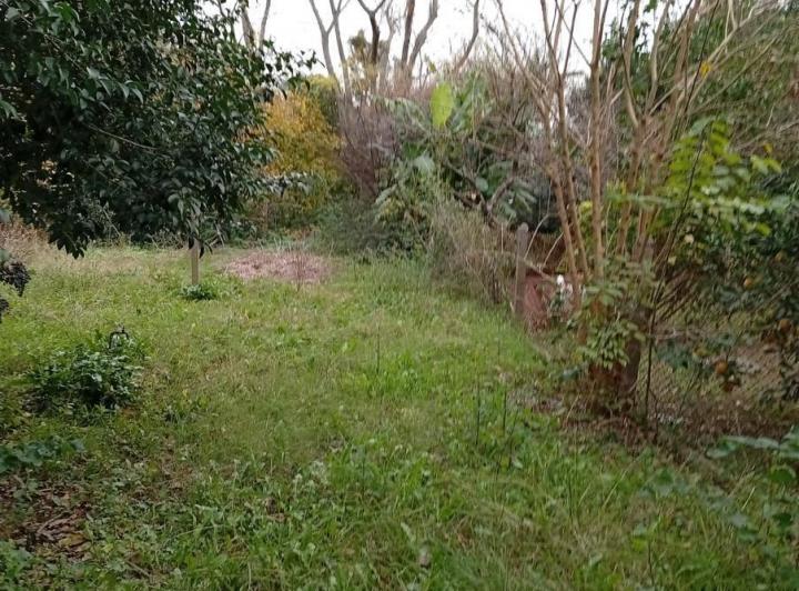 Casa en venta de 4 ambientes, con cochera y amplio fondo/ APTO CRÉDITO 3