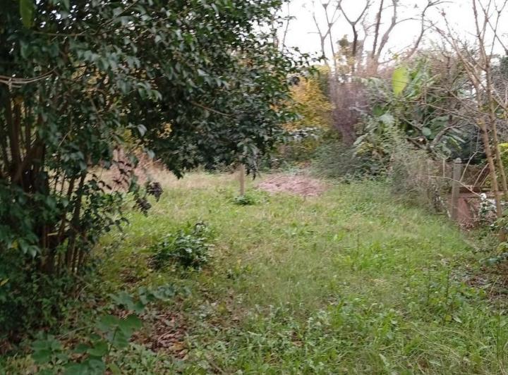 Casa en venta de 4 ambientes, con cochera y amplio fondo/ APTO CRÉDITO 1