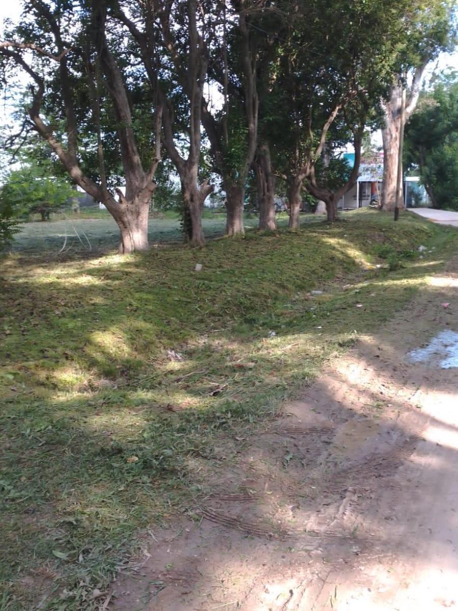 Imagen de la propiedad