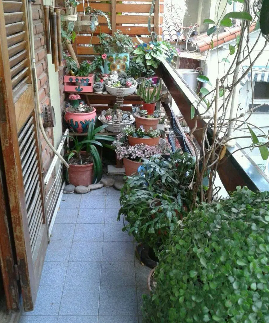 Departamento de 2 ambientes 5
