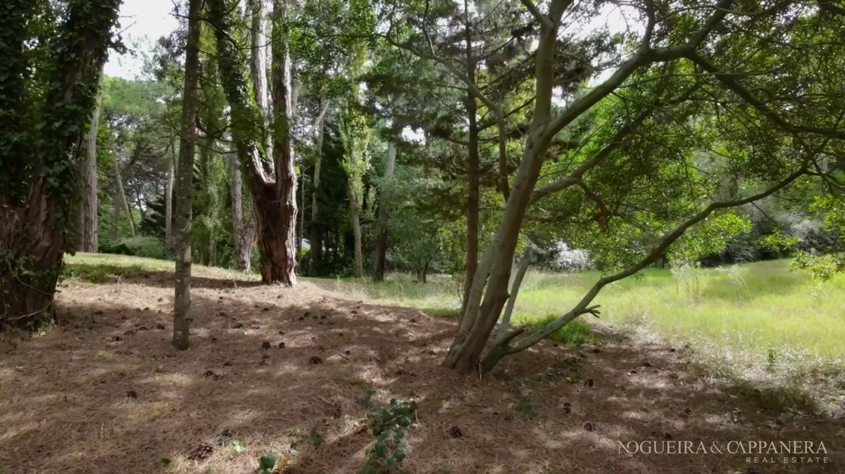 Terreno Lote en Venta en El Cul de Sac Tenis de Cariló 1
