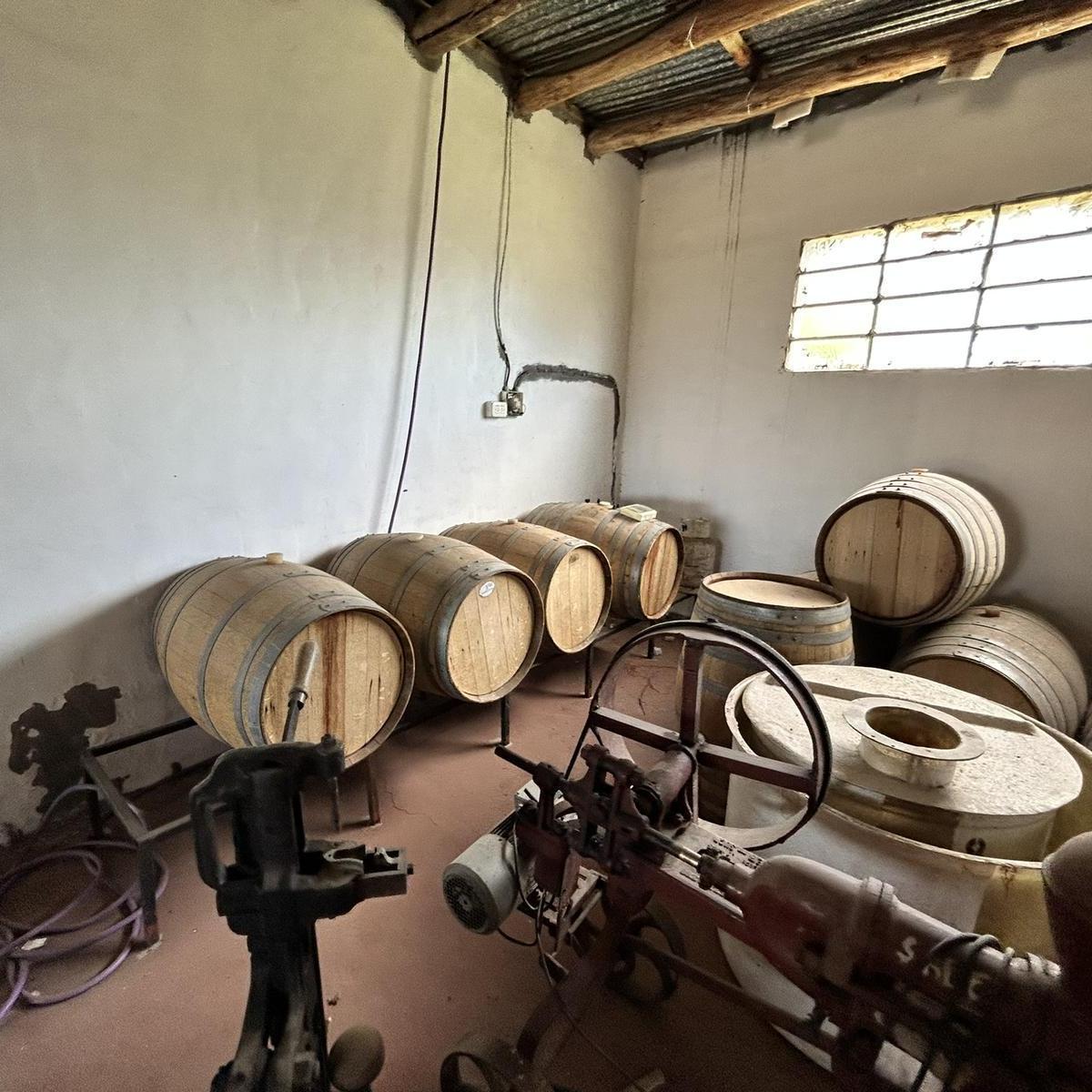 Finca, Bodega Artesanal y Casa en San Rafael, Medoza. 3